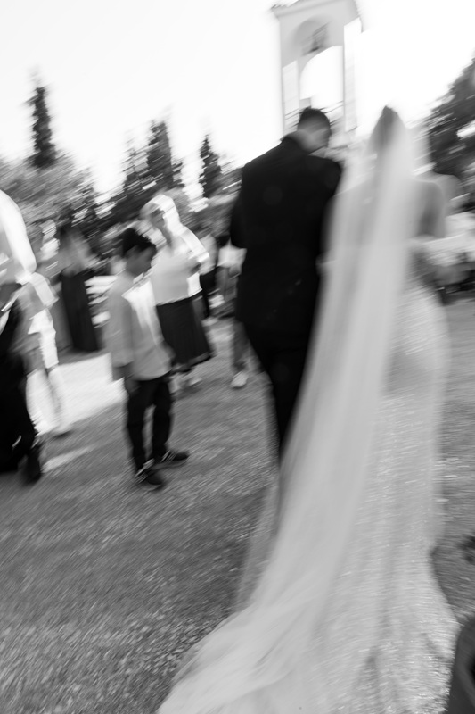 Art Of Image  portfolio